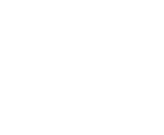 Evolution games at Spin Bookie Casino